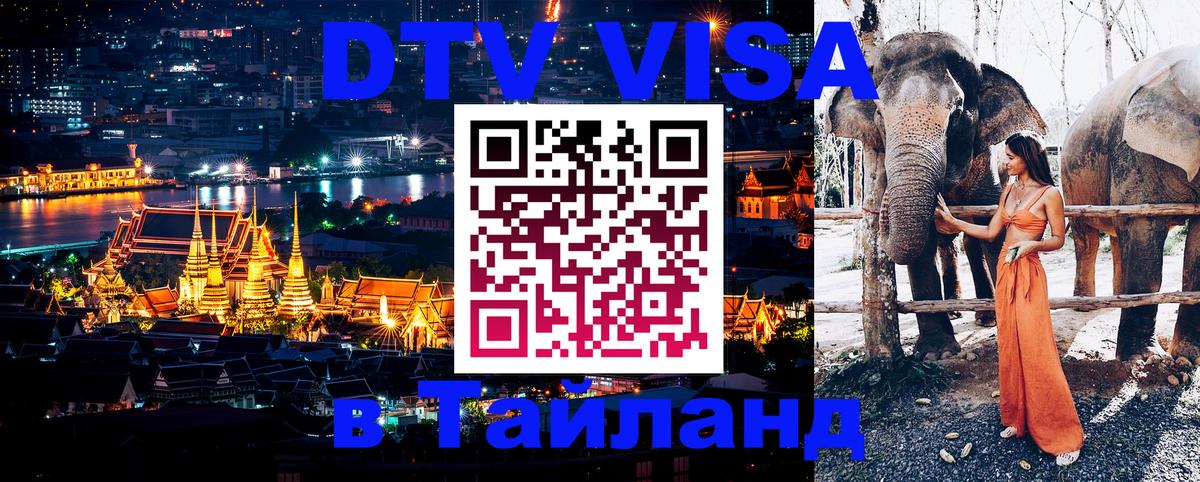Сколько стоит DTV виза — актуальные цены, оформление даже без документов - Реутов  03.10.2025 